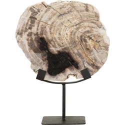 MUST Living Statue Fossil,33x26x11 cm, petrified wood on an base