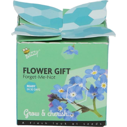 Grow gifts kweekset flower gift vergeet-me-niet