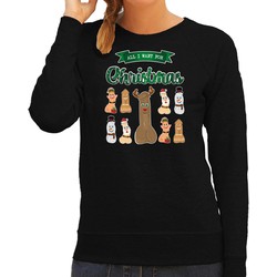 Bellatio Decorations foute kersttrui/sweater dames - All I want for Christmas - zwart - piemel/penis 2XL - kerst truien
