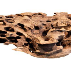 Honeycomb wood x large