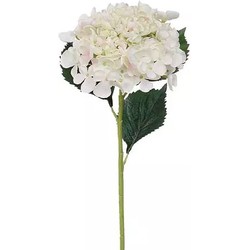 Hortensienzweig Creme 52 cm Kunstpflanze - Buitengewoon de Boet