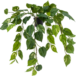 Hoyz Greenery - Kunst hangplant Pothos 70 cm