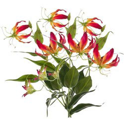 Bellatio flowers & plants Kunstbloem - 2x - gloriosa klimlelie - 75 cm - Kunstbloemen