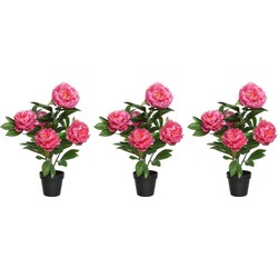 6x stuks groene/roze pioenroos rozenstruik kunstplanten 57 cm met zwarte pot - Kunstplanten