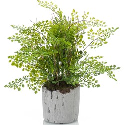 Groene kunstplant varen 28 cm in pot - Mooie decoratie kunstplanten voor binnen - Kunstplanten