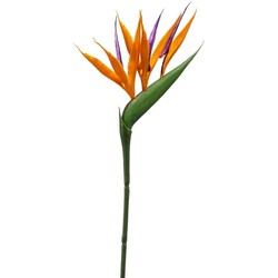 Emerald Kunstbloem Strelitzia - 65 cm - losse tak - kunst zijdebloem - Paradijsvogelplant - Kunsttakken