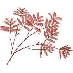 Mimosasteel l104 cm oranje