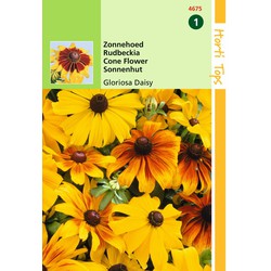2 stuks - Saatgut Rudbeckia Sonnenblume Gloriosa Gänseblümchen gemischt - Hortitops