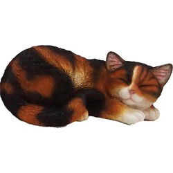 Dierenbeeld slapende kat/poes - gekleurd - 28 x 19 cm - polystone - Beeldjes