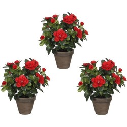 Set van 3x stuks groene Azalea kunstplanten met rode bloemen 27 cm met pot stan grey - Kunstplanten