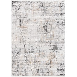 Safavieh Eigentijds Geweven Binnen Vloerkleed, Shivan Collectie, SHV718, in Grijs & Goud, 122 X 183 cm