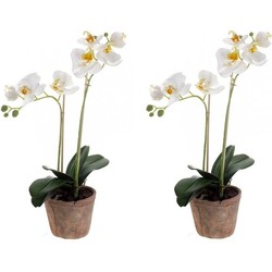 Set van 2x stuks witte vlinderorchidee kunstplanten in pot 42 cm - Kunstplanten