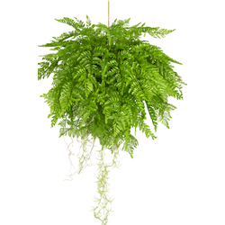 Hoyz Greenery - Kunst hangplant Varen met wortels d55 cm met hangsysteem