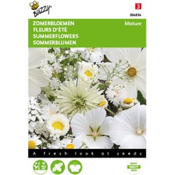2 stuks - Samen Sommerblumen Weiß Schattierungen - Buzzy