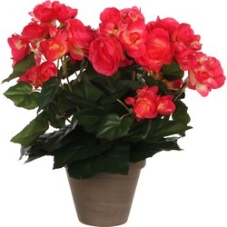 Mica Decoration Kunstplant - begonia - donkerroze - in pot - 30 cm - Kunstplanten