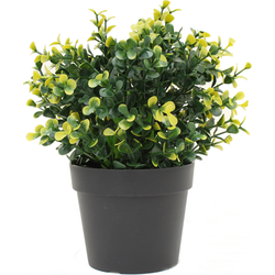 Greenmoods Kunstplant Buxus - Buxus sempervirens - Nep plant - Sterk UV bestendig - 1 Stuk Geel