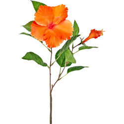 Greenmoods Kunstbloem Hibiscus - Nep plant - 1 Stuk - 73cm - Oranje-