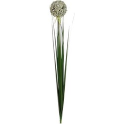 Mica Decorations Kunstbloem - allium bol - wit - 80 cm - Kunstbloemen