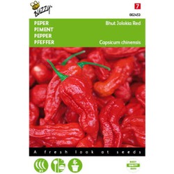 5 stuks - Peper Bhut Jolokia Red Tuinplus