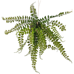 Hoyz Greenery - Kunst hangplant Varen bal 45 cm