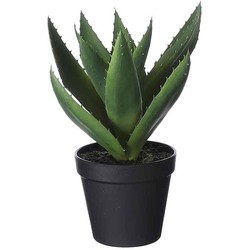 Mica Decorations Aloe Vera Kunstplant - H27 x Ø24 cm - Met pot - Groen