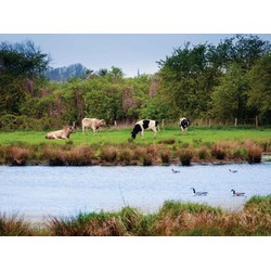 Polder 70x50cm Tuinschilderij - Customize-it