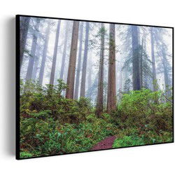 Muurwerken Akoestisch Schilderij - Sequoia bos - Geluidsdempend Wandpaneel - Wanddecoratie - Geluidsisolatie - PRO (AW 0.90) S (70x50)