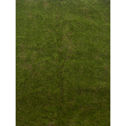 Moss mat green 100x100 cm kunstbloem