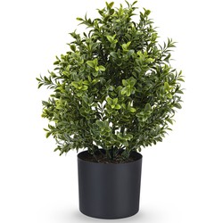 Buxus kunststruik UV Romeinse stijl 36cm | NeverLeafs