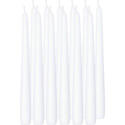 Trend Candles Dinerkaarsen - 12x stuks - wit - 25 cm - Dinerkaarsen