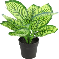 Countryfield Kunstplant Calathea in bloempot - Groen - 15 x 28 cm - Kunstplanten