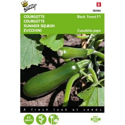 5 stuks - Courgette Klimmend Black Forest F1 Tuinplus