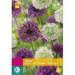 3 stuks - Allium Paars/Wit Mix 12 bollen