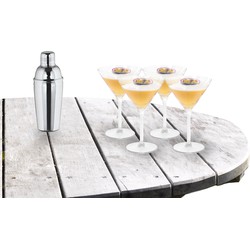 Cocktailshaker set met 4x stuks Martini cocktailglazen 260 ml - Cocktailglazen