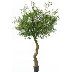 Greenmoods Olijfboom  - Olea europaea - Nep plant - 1 Stuk - 270cm - Groen -