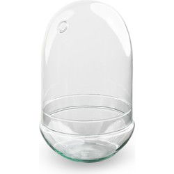 URBANJNGL - Glazen bol - eivorm - gesloten terrarium 30 cm