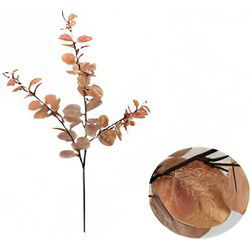 Money leaf tak bruin 104 cm