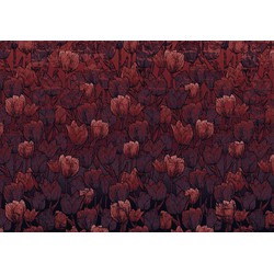 Sanders & Sanders fotobehang tulpen rood - 400 x 280 cm - 611861