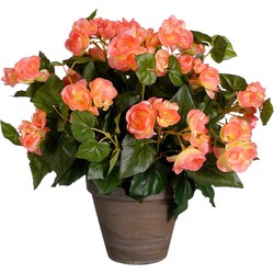 Mica Decorations Begonia Kunstbloem - 36x36x37 cm - Polyester - Zalm