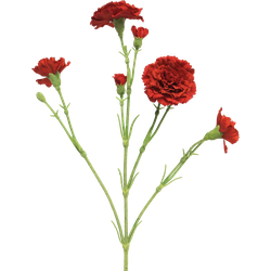 (Best) Dianthus Charly red 62 cm kunstbloem