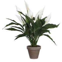 Mica Decorations Spathiphyllum Kunstplant in Bloempot Stan - H50 x Ø40 cm - Wit