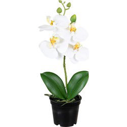 Louis Maes Kunstplant Orchidee - bloemen in het wit - 33 cm - Kunstplanten