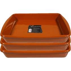 Set van 3x stuks tapas ovenschalen/serveerschalen rechthoekig terracotta Fontein 4 liter - Snack en tapasschalen