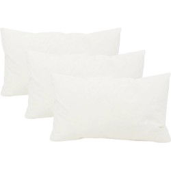 Set van 3 stuks - Binnenkussen | 30 x 50 cm | 440 gram | Traagschuim/ Memoryfoam