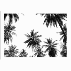 Underneath the palm trees (21x29,7cm)