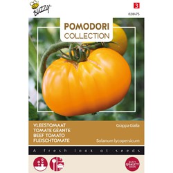 3 stuks - Saatgut Pomodori Grappa Gialla - Buzzy