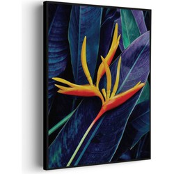 Muurwerken Akoestisch Schilderij - Heliconia bloem op donkere achtergrond - Geluidsdempend Wandpaneel - Wanddecoratie - Geluidsisolatie - BASIC (AW 0.65) L (72X100)