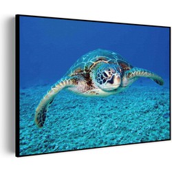 Muurwerken Akoestisch Schilderij - Zeeschildpad In Helderblauw Water 01 - Geluidsdempend Wandpaneel - Wanddecoratie - Geluidsisolatie - PRO (AW 0.90) L (100x72)