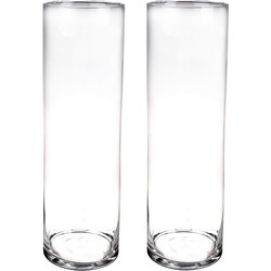 Set van 2x stuks hoge glazen vazen transparant 50 x 15 cm - Vazen