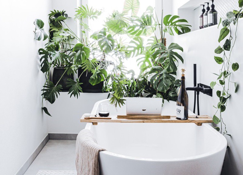 Inspiratie: planten in de badkamer